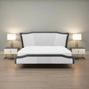 Sophia Modern Upholstered Bed