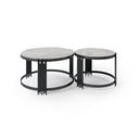 Elegant 2-Piece Coffee Table Set